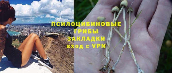 меф Анива