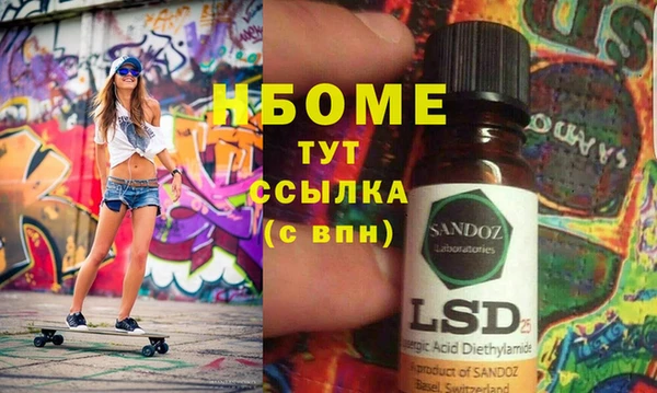 гидра Новодвинск