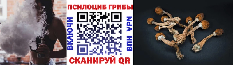 Галлюциногенные грибы Cubensis закладки Усолье-Сибирское