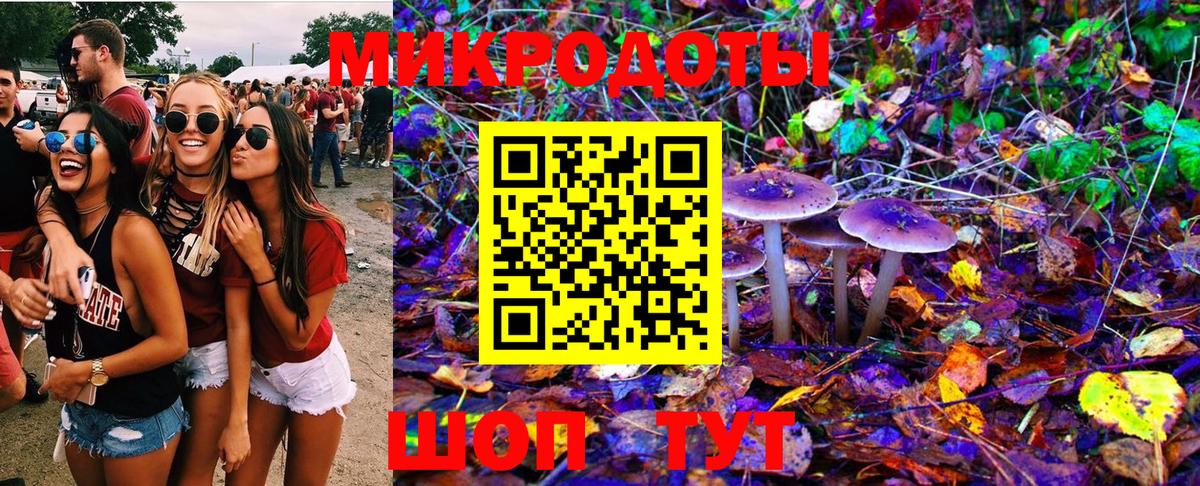 Галлюциногенные грибы Psilocybe Усолье-Сибирское