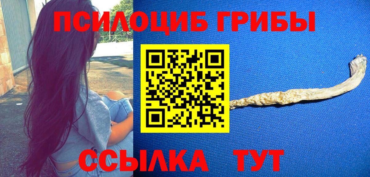 Галлюциногенные грибы GOLDEN TEACHER  Псилоцибиновые грибы прущие грибы  Усолье-Сибирское  Вход с VPN 